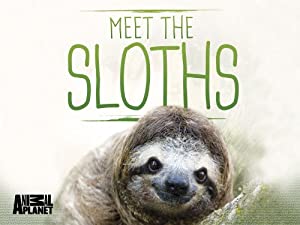 Omslagsbild till Meet the Sloths