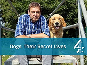 Omslagsbild till Dogs: Their Secret Lives