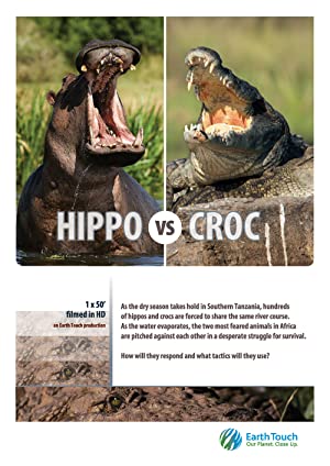 Omslagsbild till Hippo vs Croc