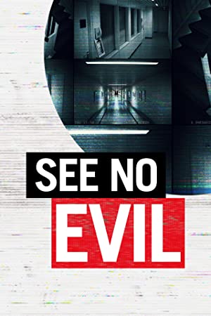 Omslagsbild till See No Evil