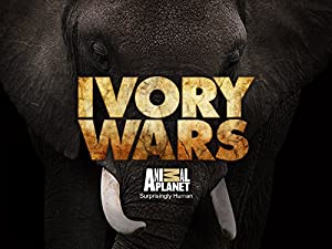 Omslagsbild till Ivory Wars