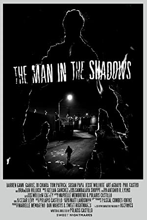 Omslagsbild till The Man in the Shadows
