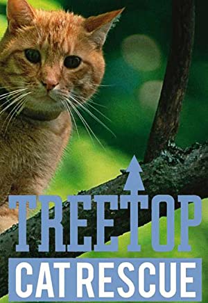 Omslagsbild till Treetop Cat Rescue