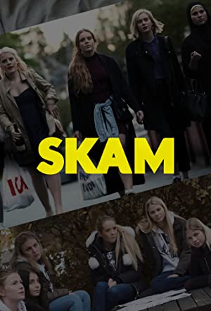 Omslagsbild till Skam