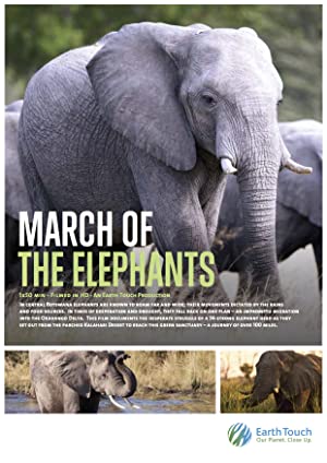 Omslagsbild till March of the Elephants