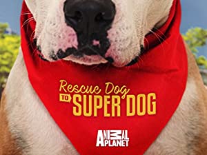 Omslagsbild till Rescue Dog to Super Dog