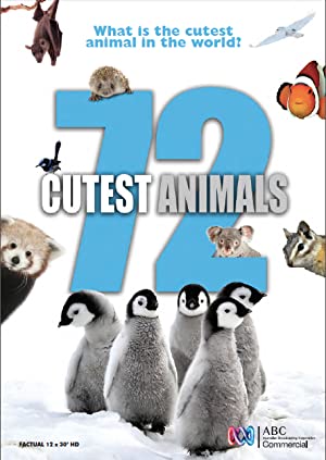 Omslagsbild till 72 Cutest Animals