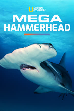 Omslagsbild till Mega Hammerhead