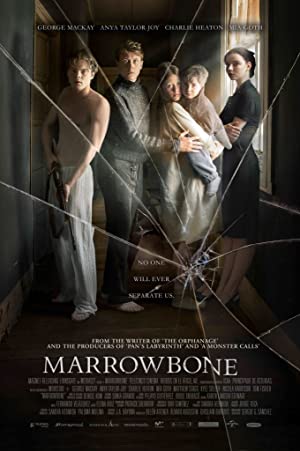Omslagsbild till Marrowbone