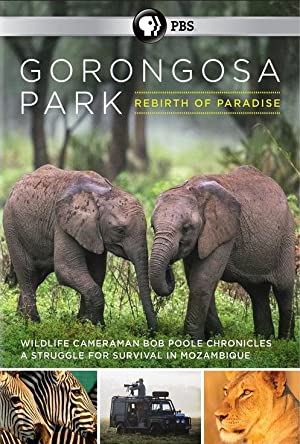 Omslagsbild till Gorongosa Park: Rebirth of Paradise