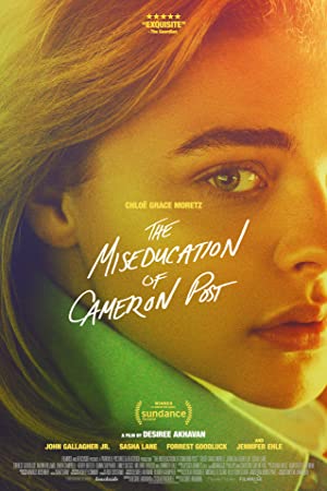 Omslagsbild till The Miseducation of Cameron Post