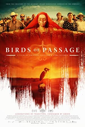 Omslagsbild till Birds of Passage