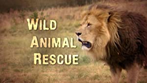 Omslagsbild till Wild Animal Rescue