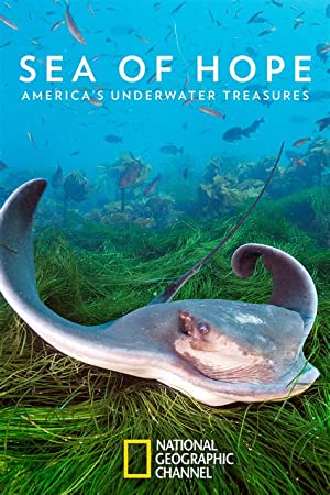 Omslagsbild till Sea of Hope: America's Underwater Treasures