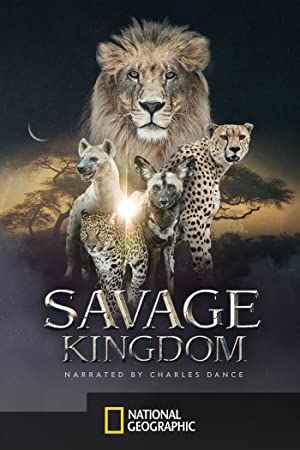 Omslagsbild till Savage Kingdom