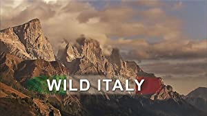 Omslagsbild till Wild Italy