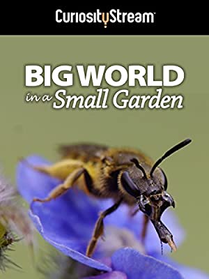 Omslagsbild till Big World in a Small Garden