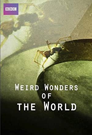 Omslagsbild till Weird Wonders of the World