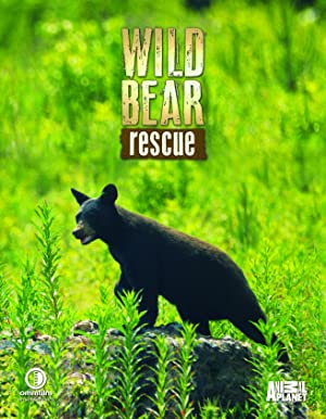 Omslagsbild till Wild Bear Rescue