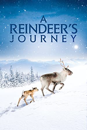 Omslagsbild till A Reindeer's Journey