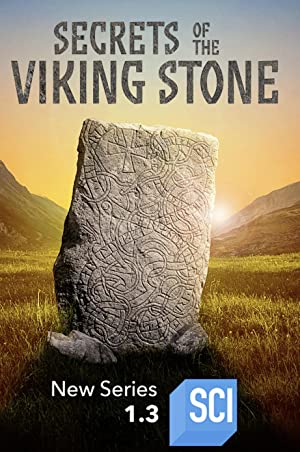 Omslagsbild till Secrets of the Viking Stone