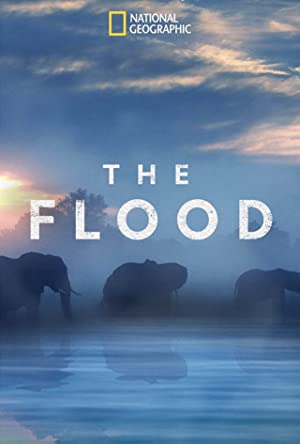 Omslagsbild till The Flood