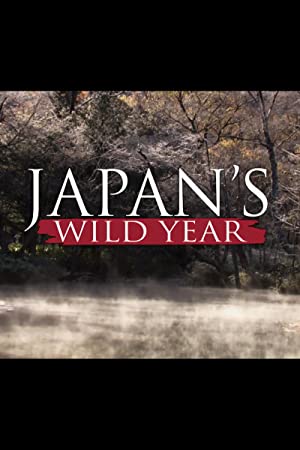 Omslagsbild till Japan's Wild Year